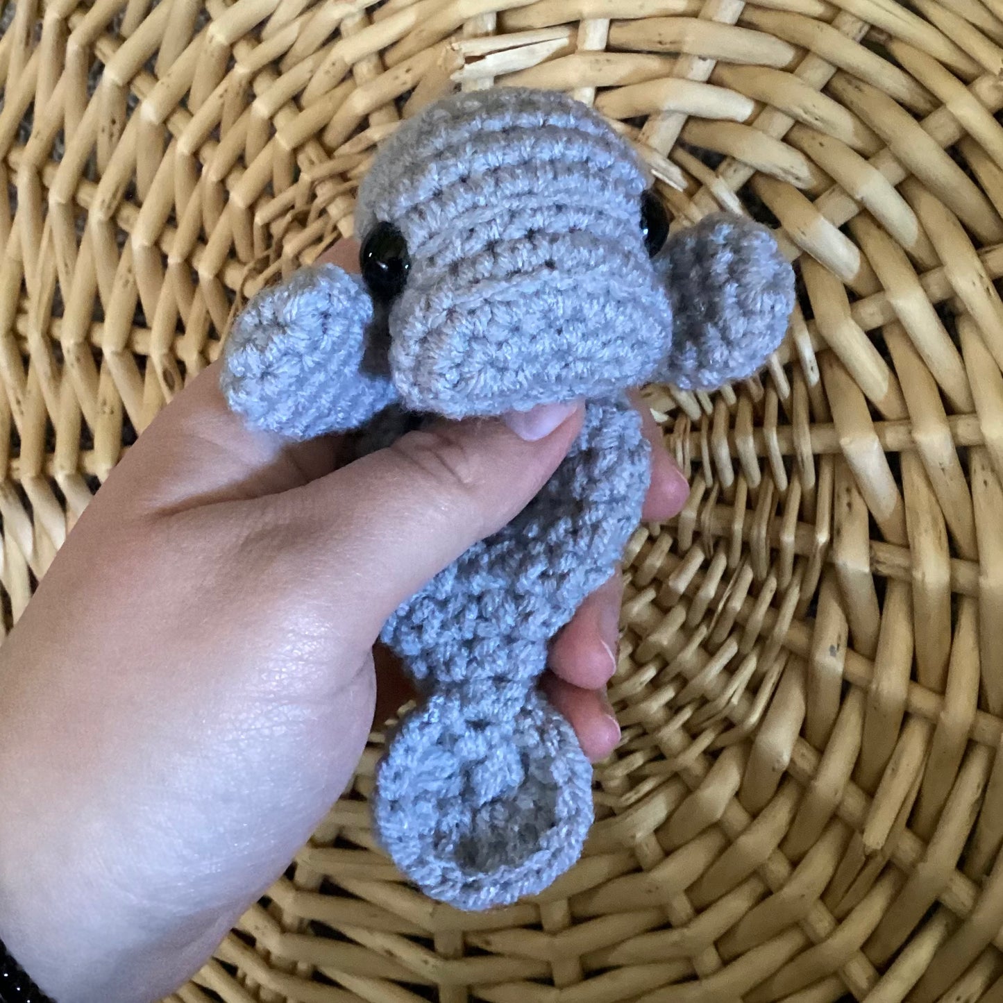 Baby Manatee