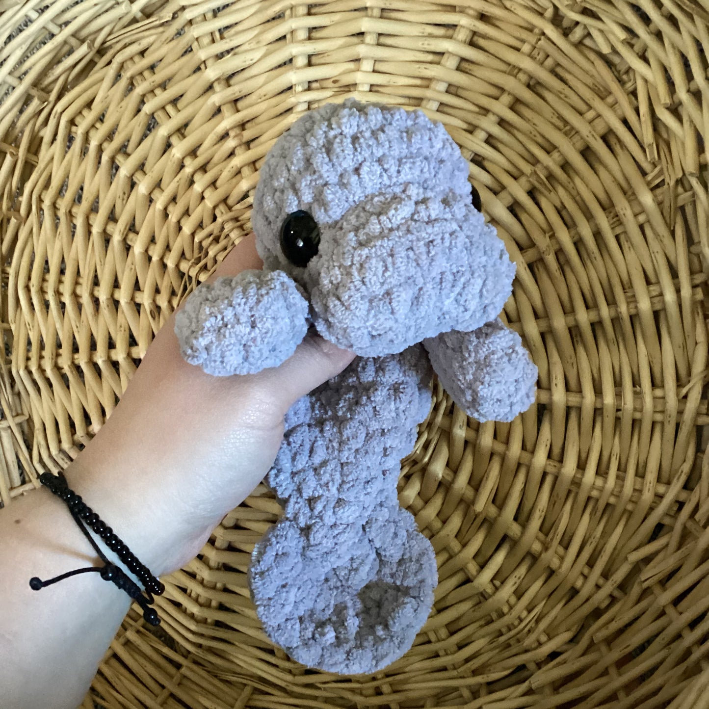 Mama Manatee