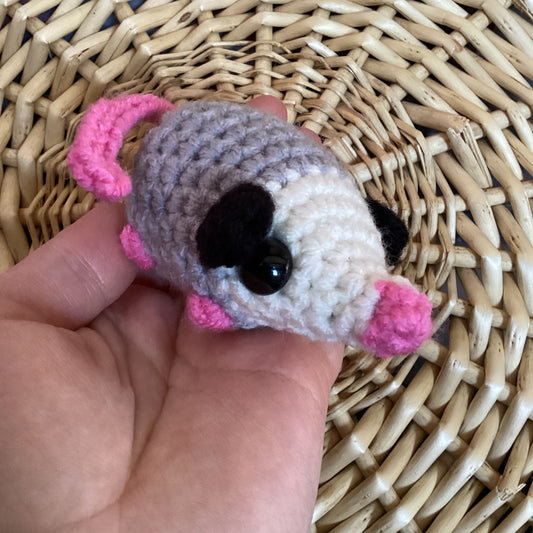 Baby Opossum