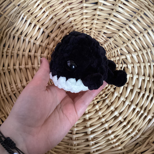 Killer Whale
